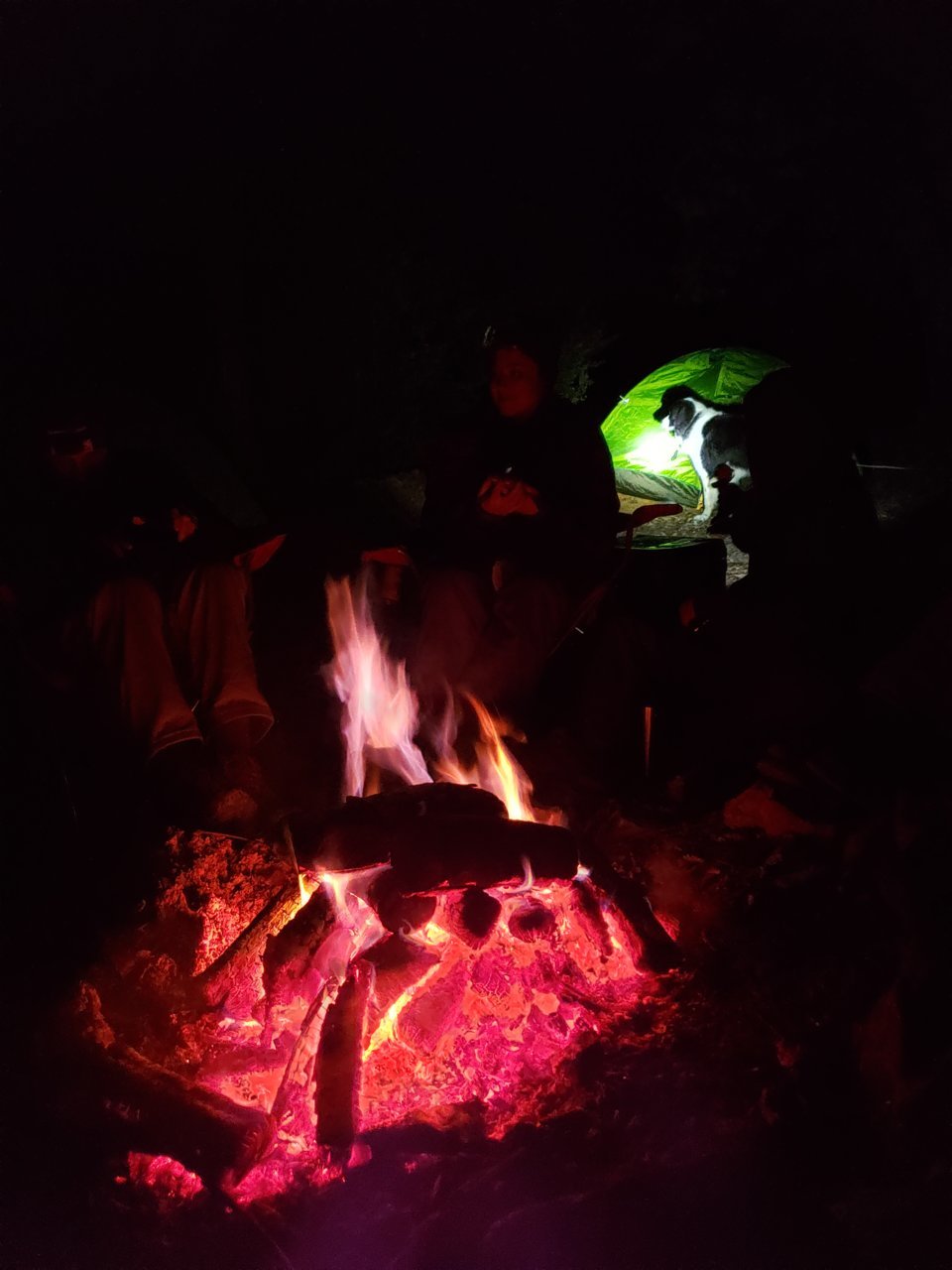 20181103_215257.jpg