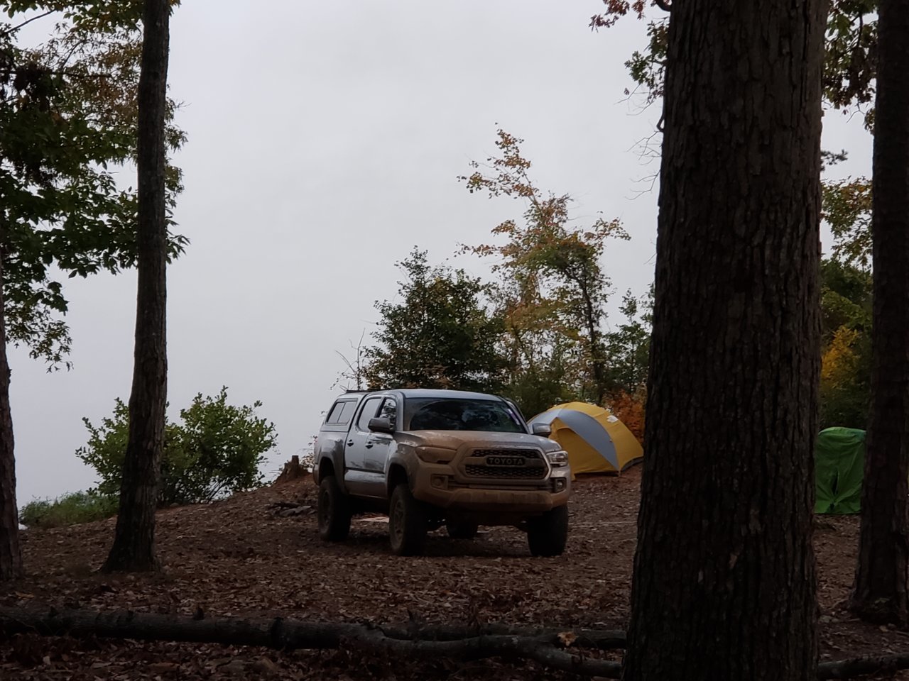 20181104_064401.jpg