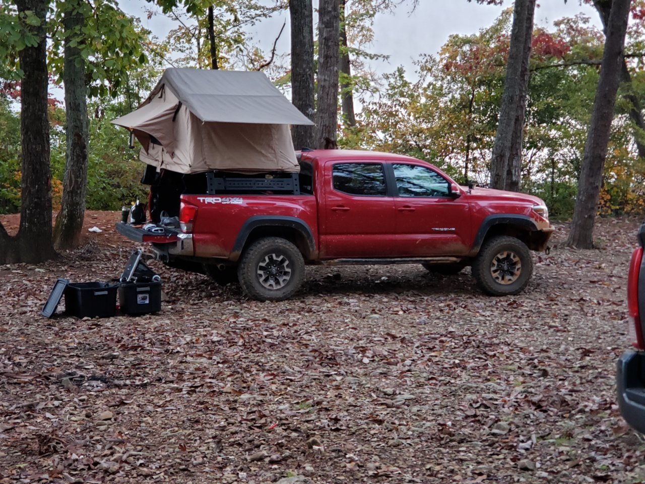 20181104_064447.jpg
