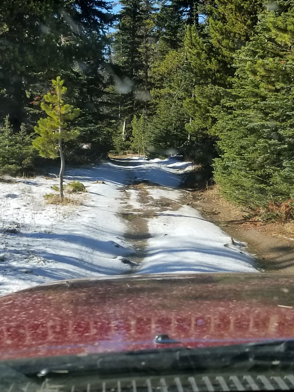 20181104_105130.jpg
