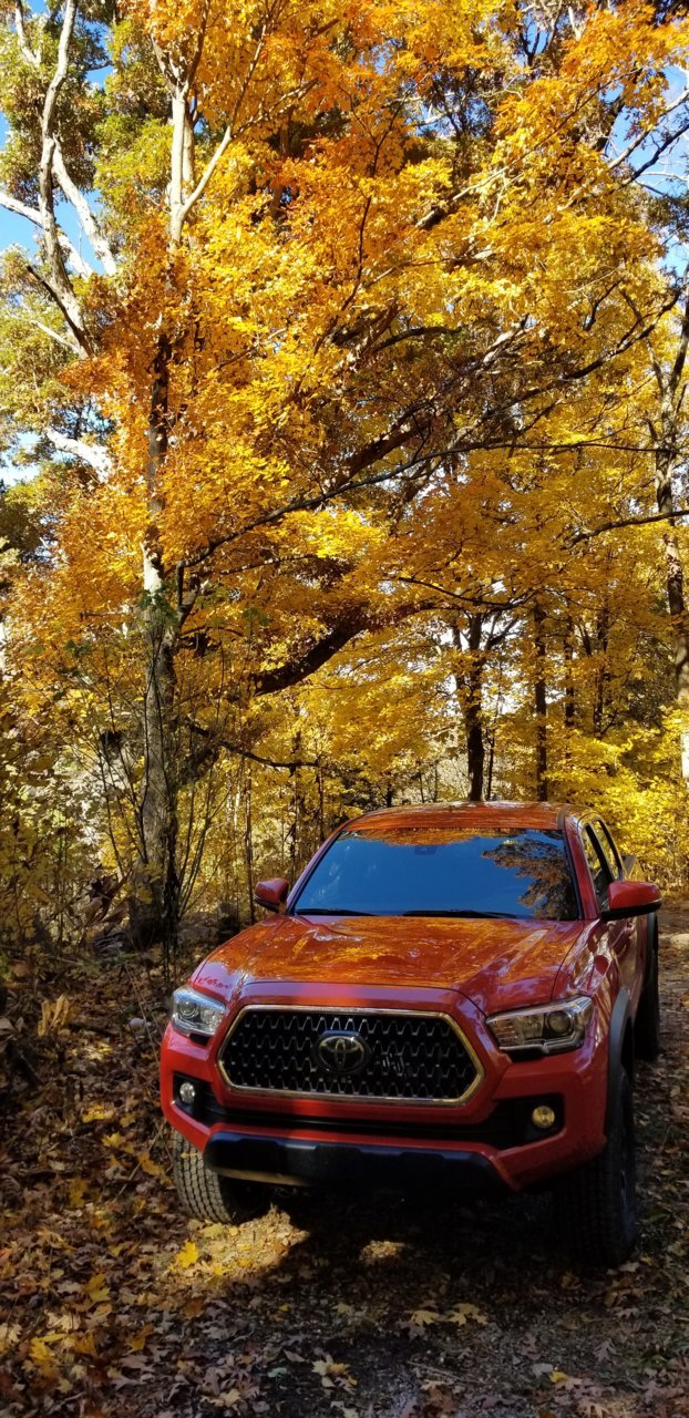 20181104_110430.jpg