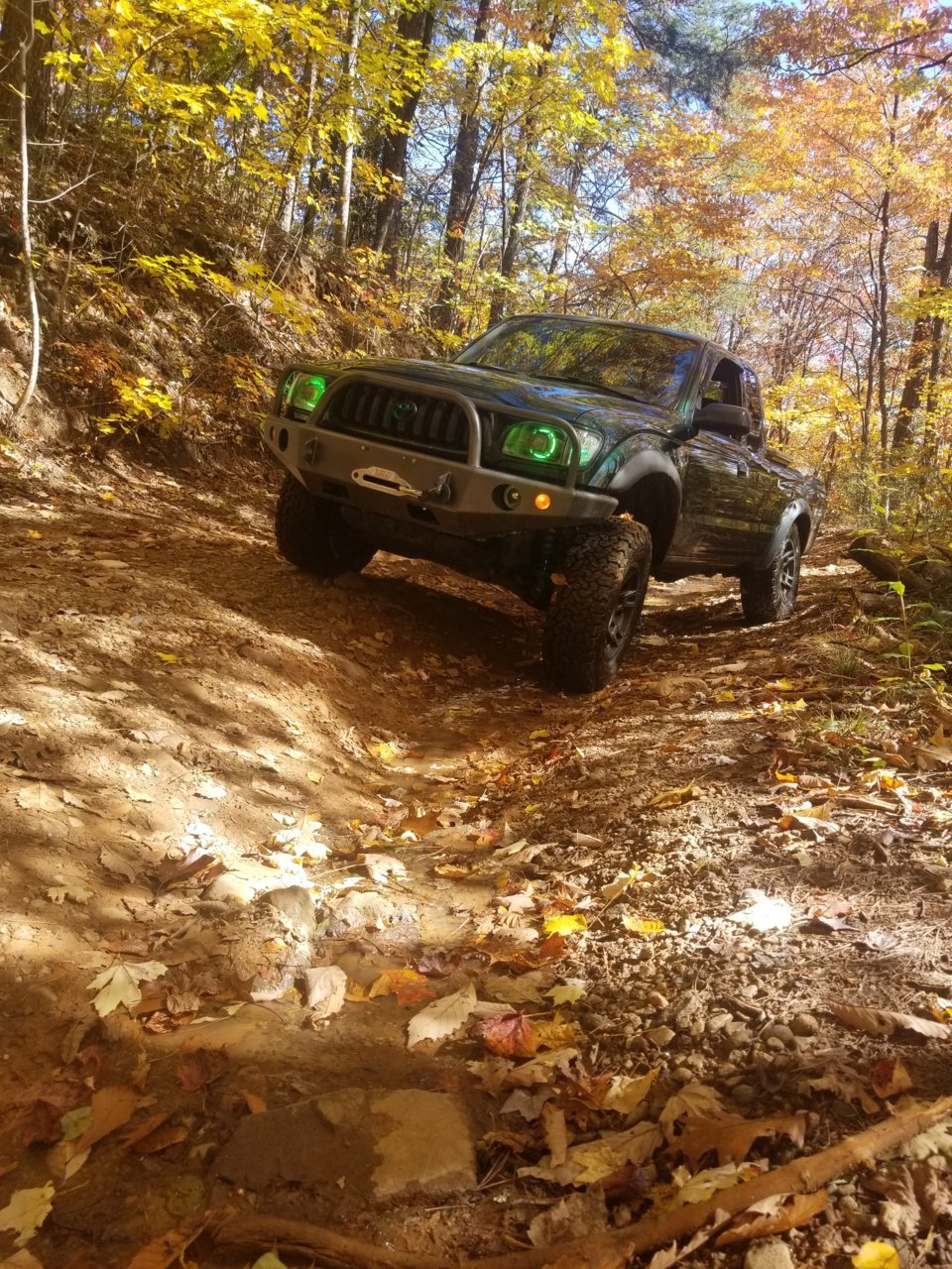 20181104_121435.jpg
