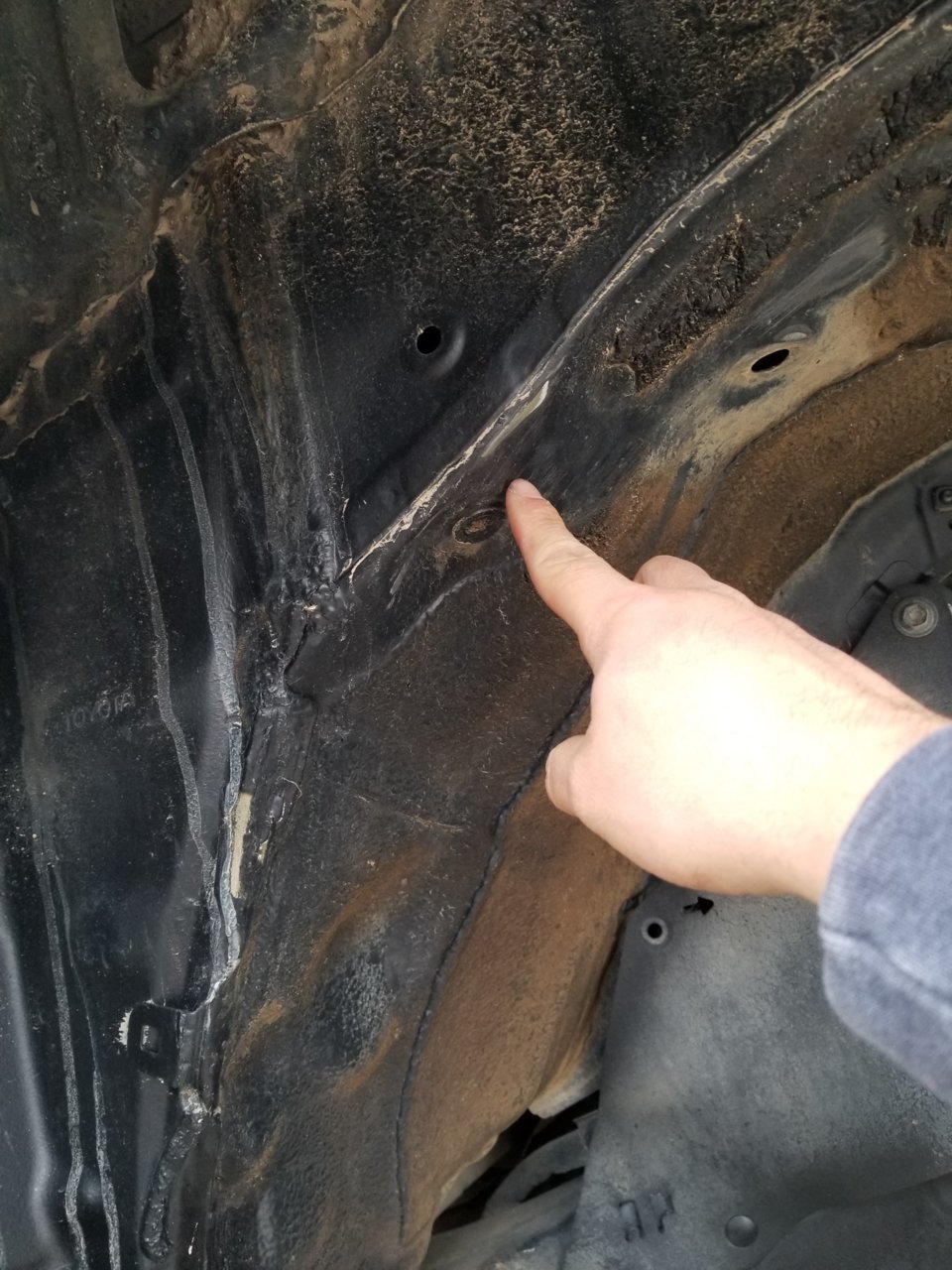 20181104_153117.jpg