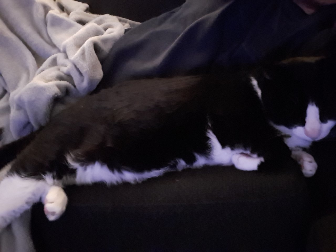 20181104_211720.jpg
