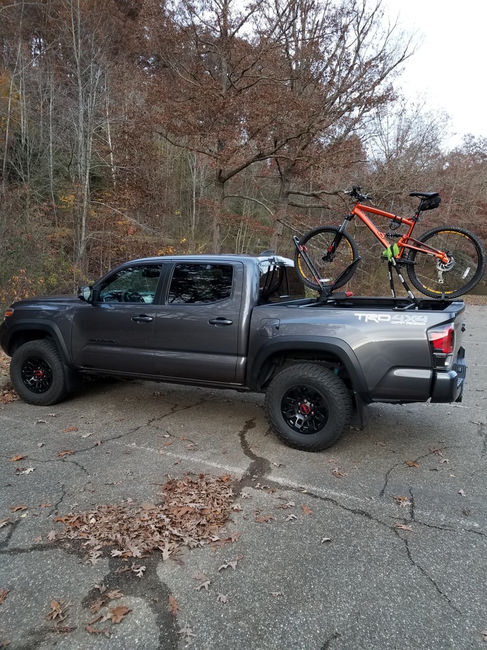 20181105_170617.jpg