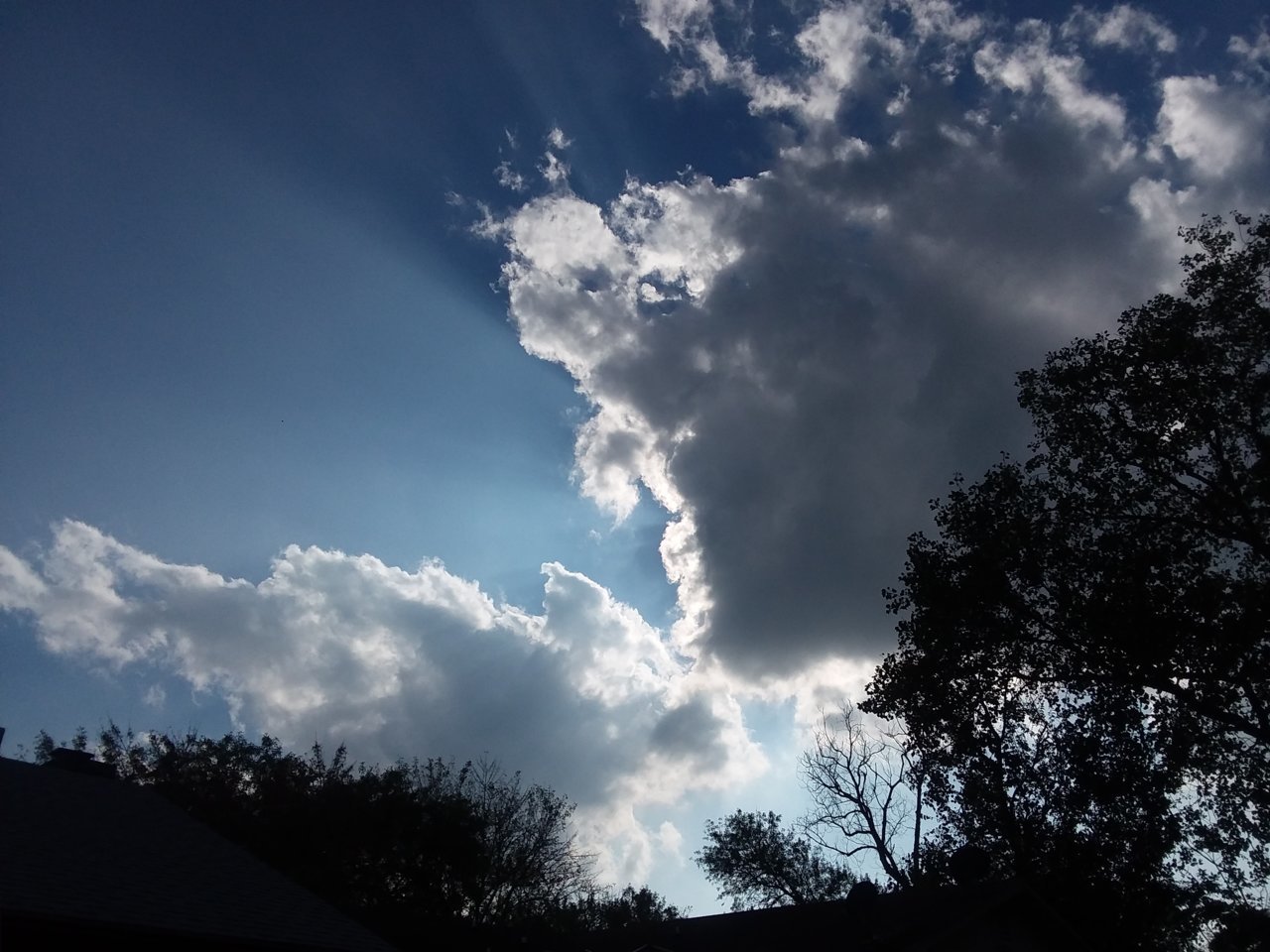 20181107_150220.jpg