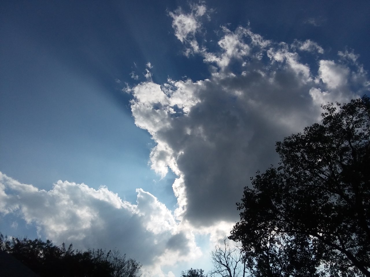 20181107_150225.jpg