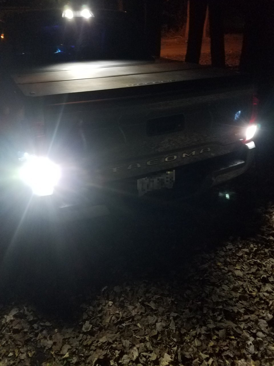 20181108_184144.jpg