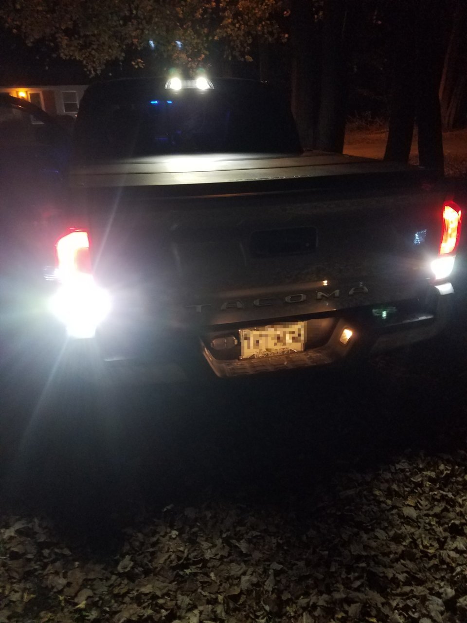 20181108_184210.jpg