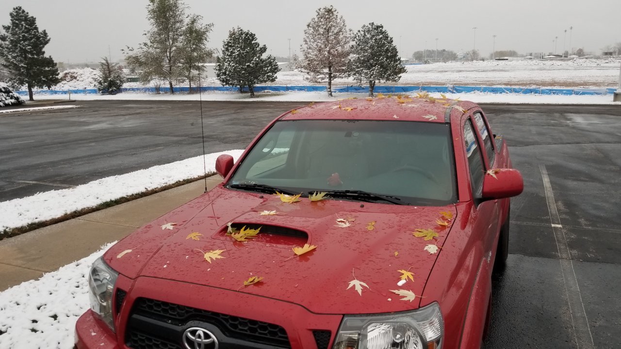 20181109_071439.jpg