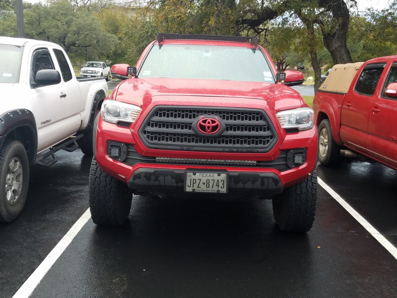 20181110_075334.jpg