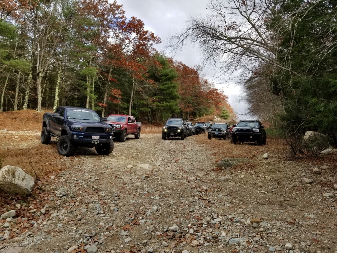 20181110_114238.jpg