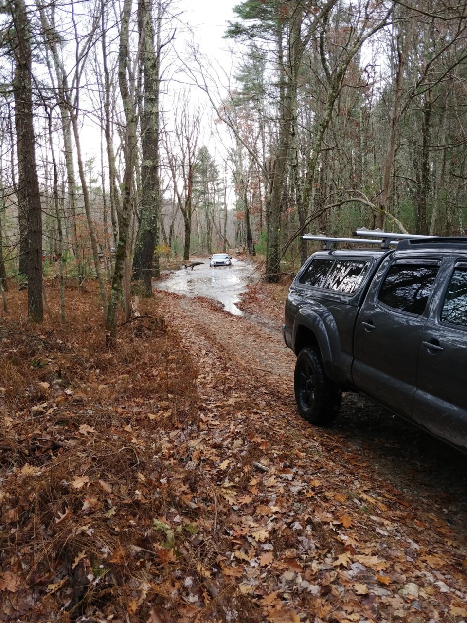 20181110_132414.jpg