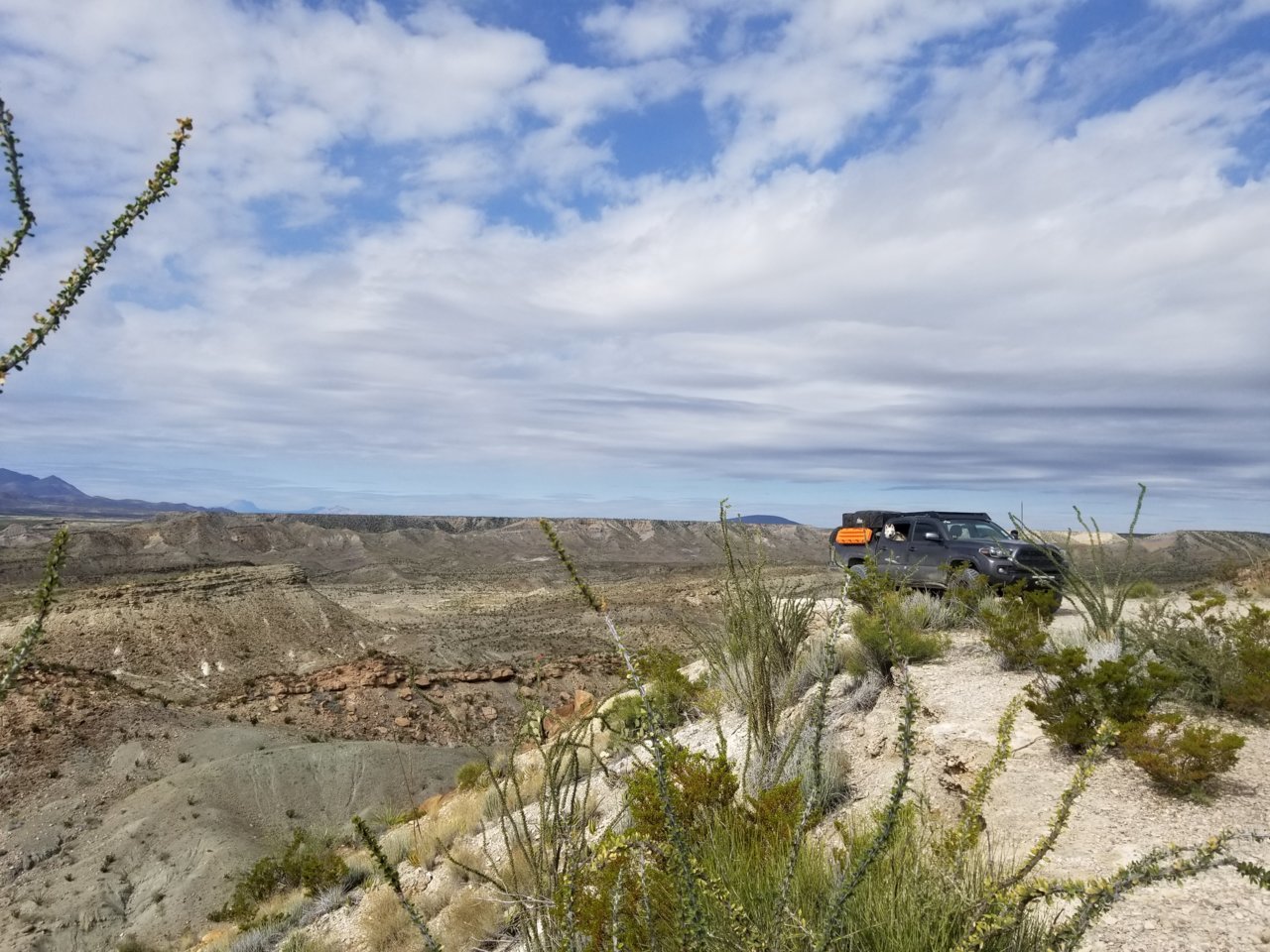 20181110_140615.jpg