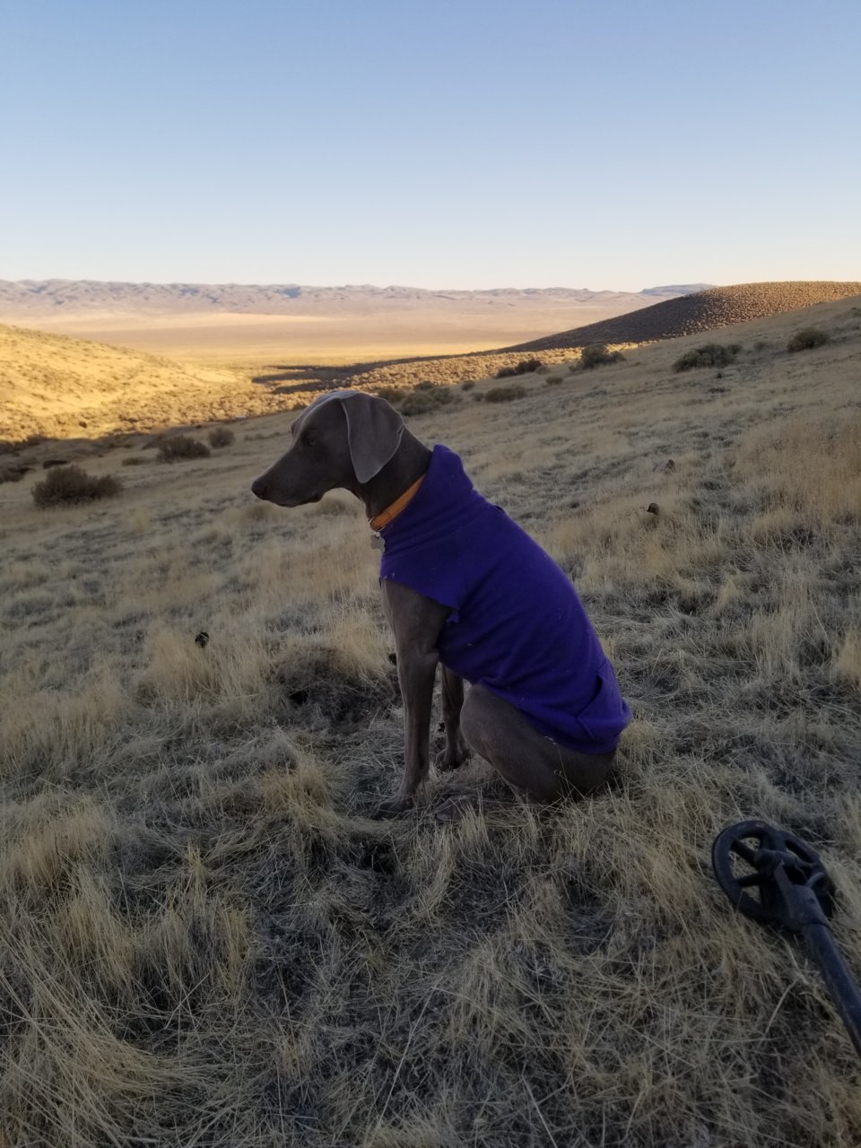 20181110_154155.jpg