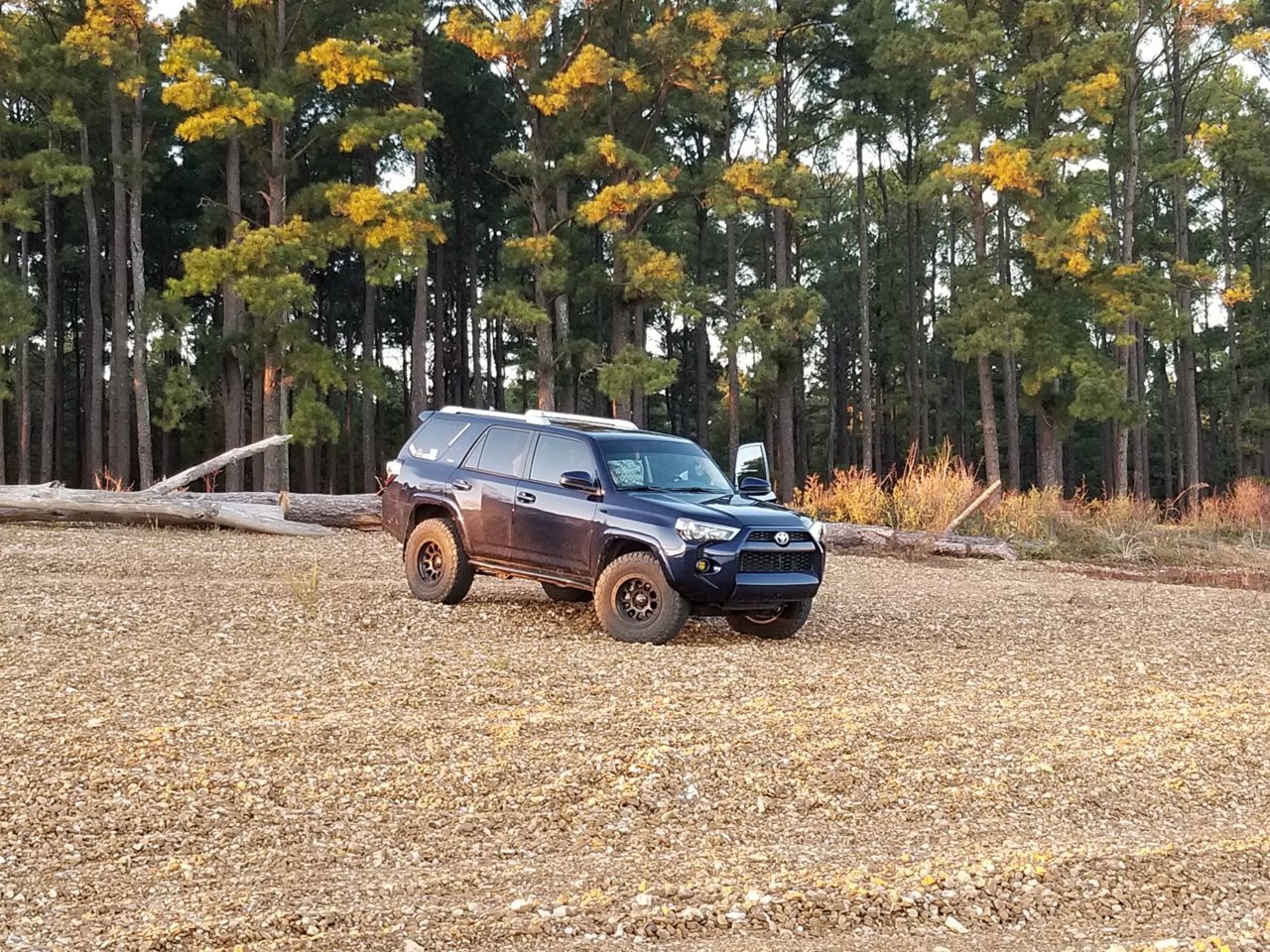 20181110_163456.jpg