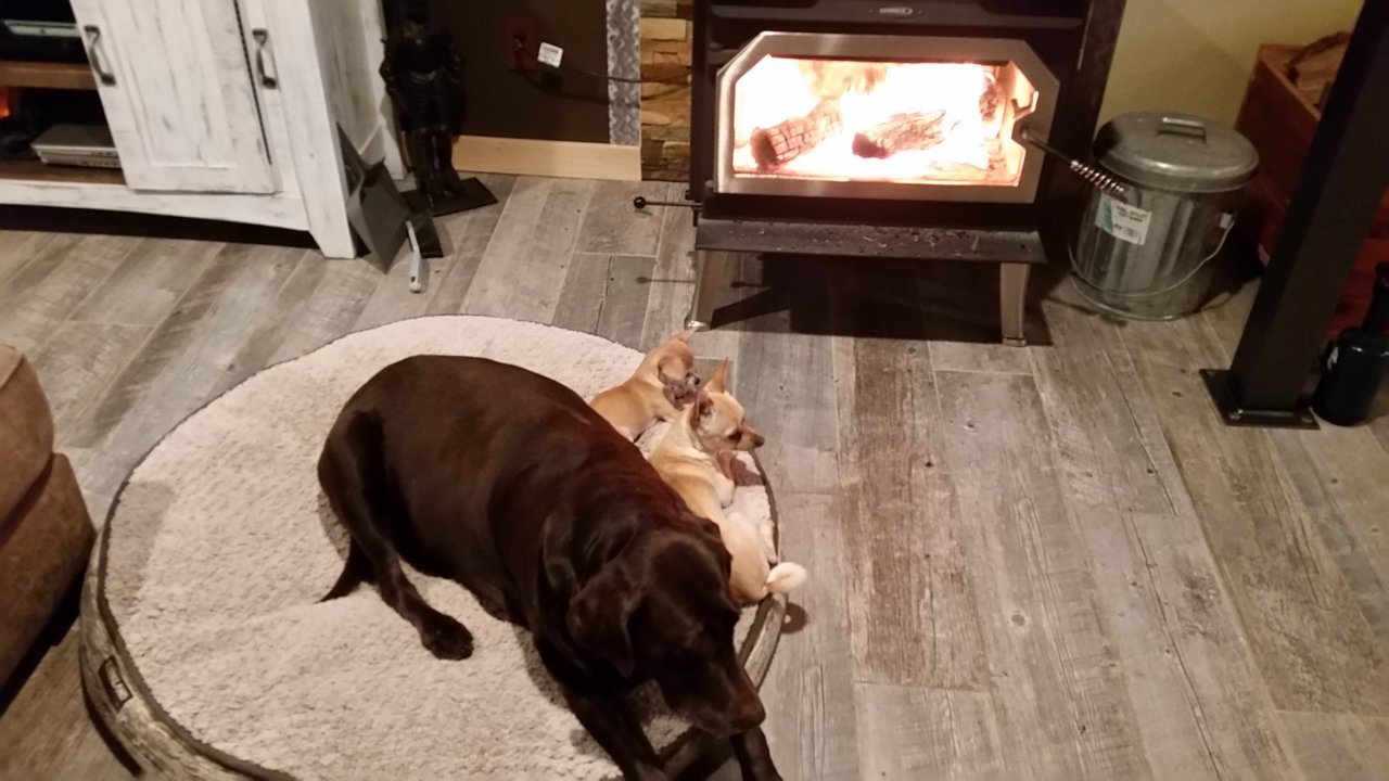 20181110_165033.jpg