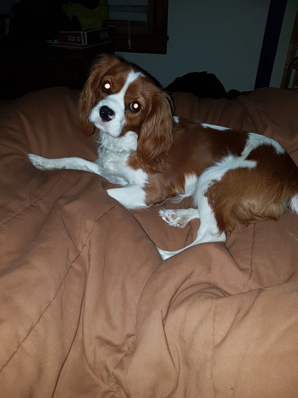 20181110_232843.jpg