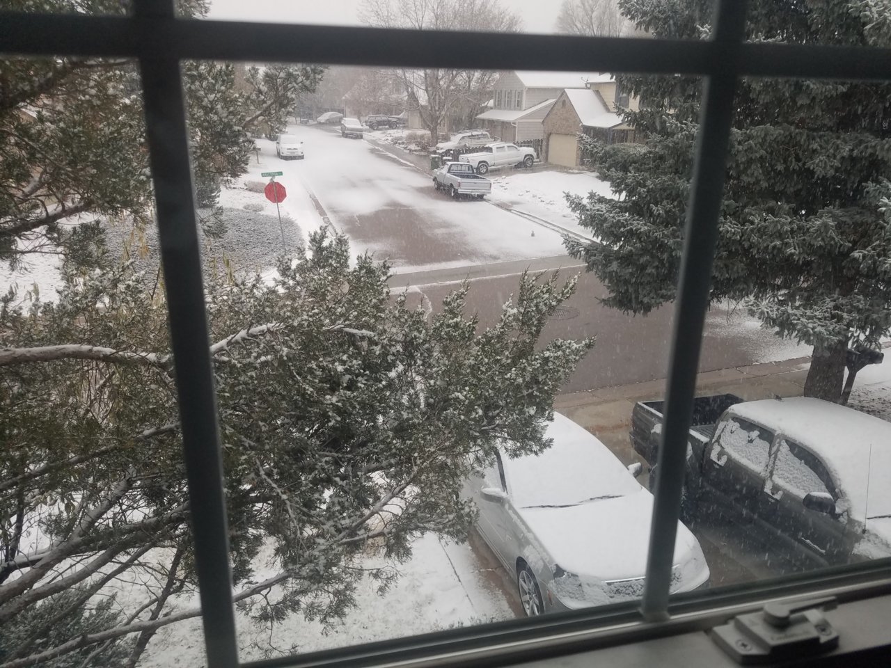 20181111_071144.jpg