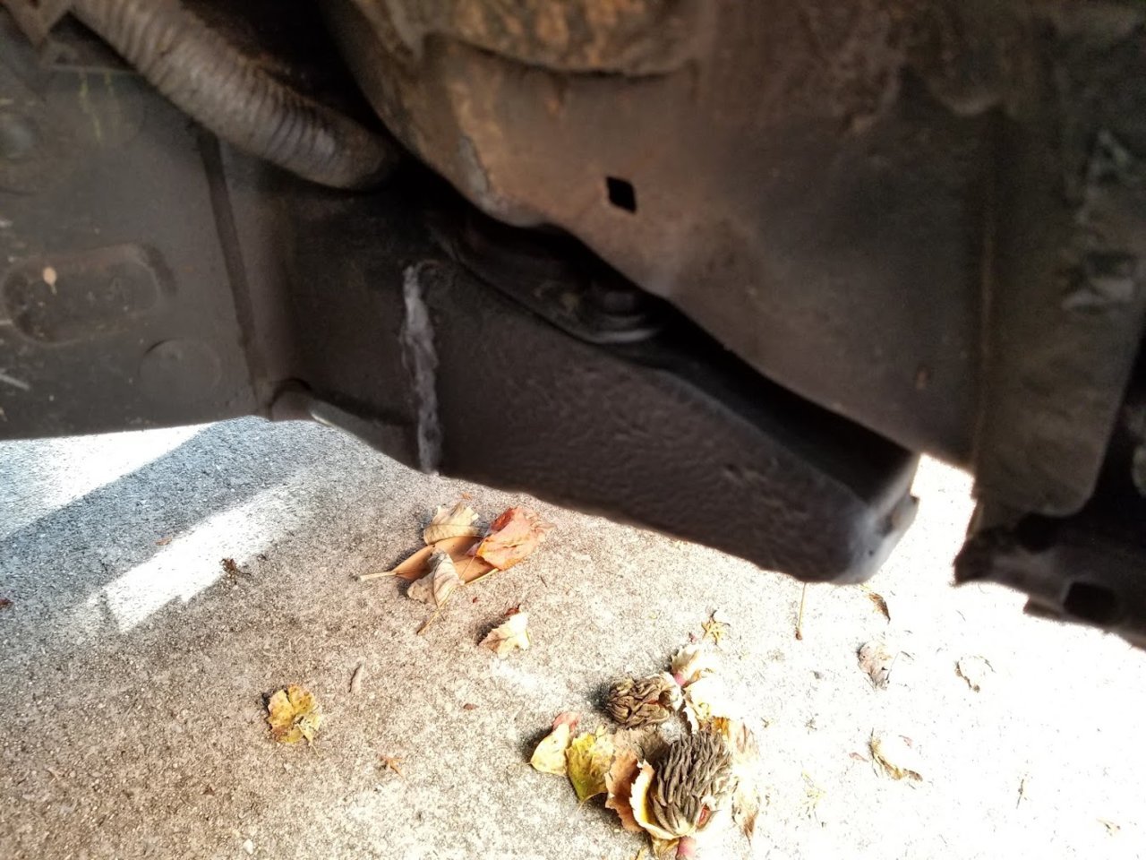 20181111_082930.jpg
