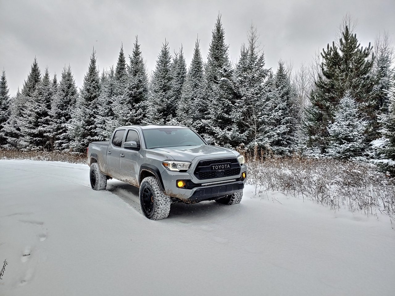 20181111_105344_HDR.jpg