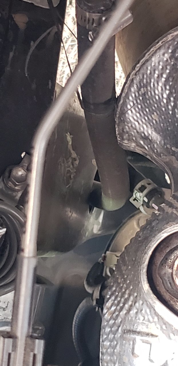 20181111_121913.jpg