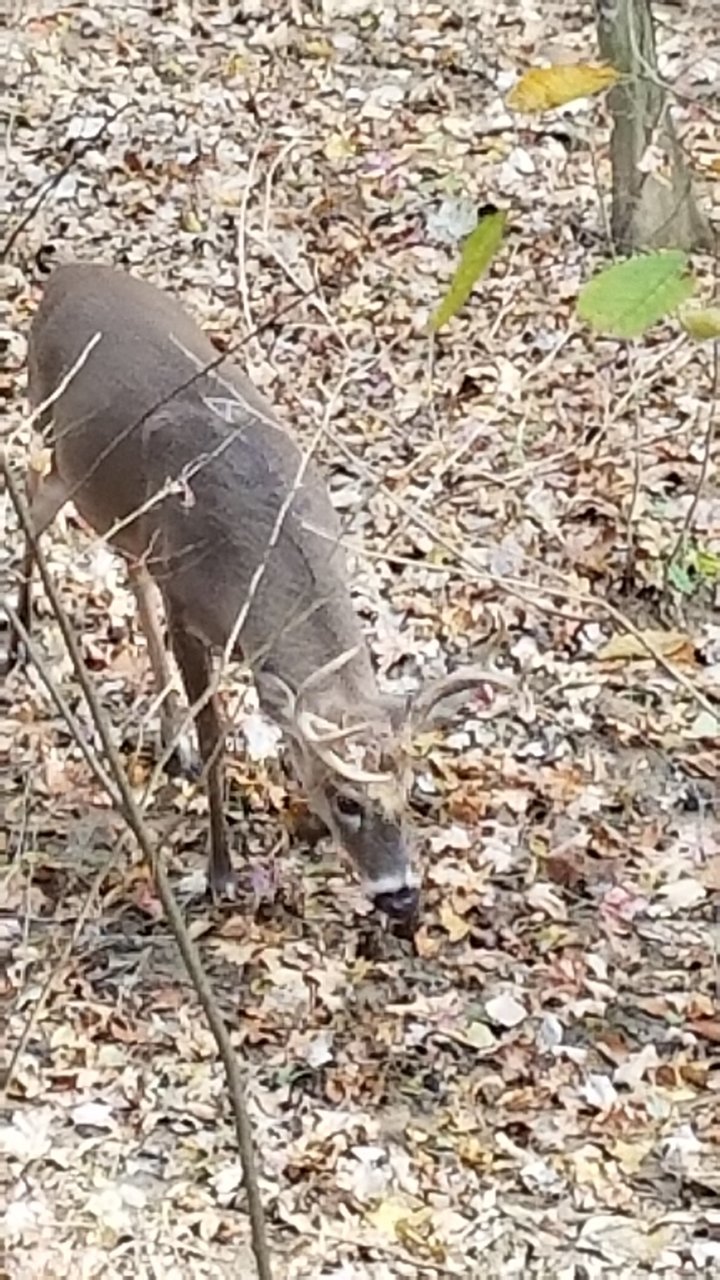 20181111_142108.jpg