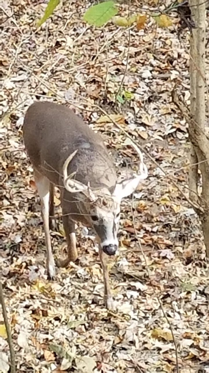 20181111_142110.jpg