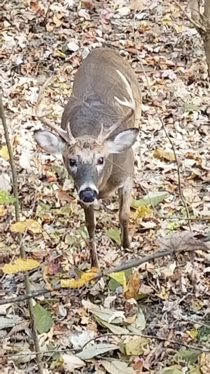 20181111_142113.jpg