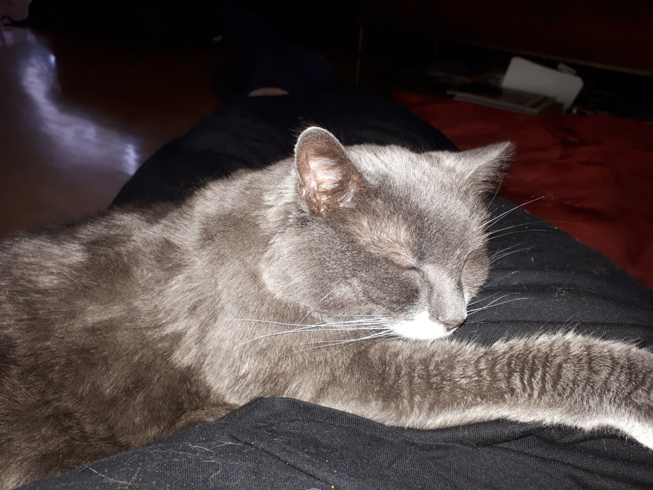 20181111_151717.jpg