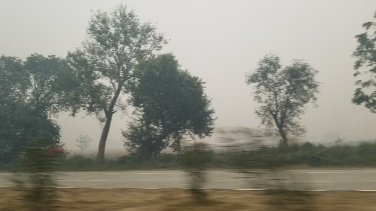 20181111_154153.jpg