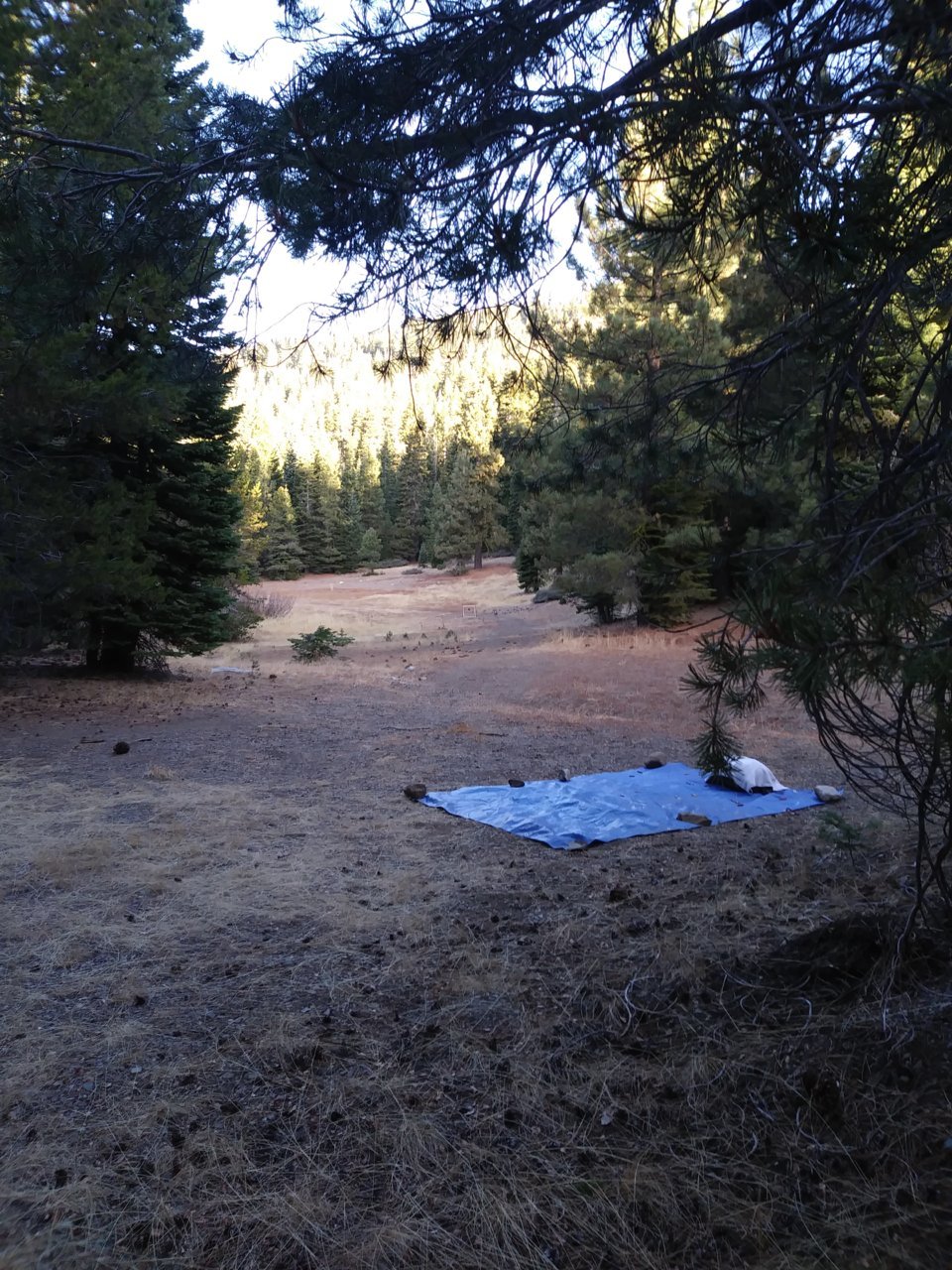 20181112_074145.jpg