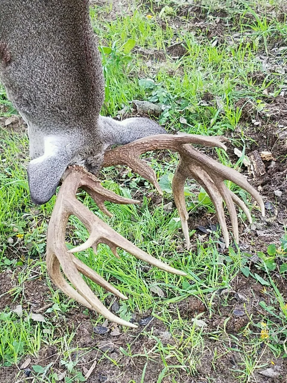 20181113_073245.jpg