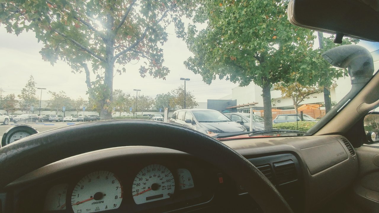 20181113_132537_HDR~2.jpg
