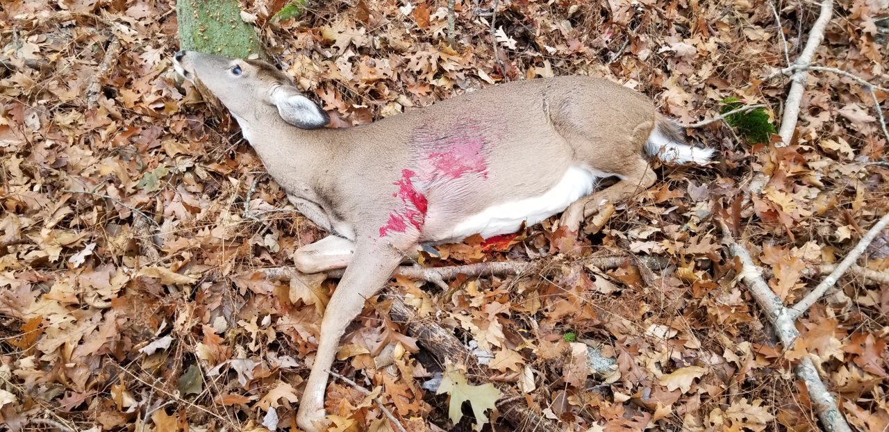 20181114_074441.jpg