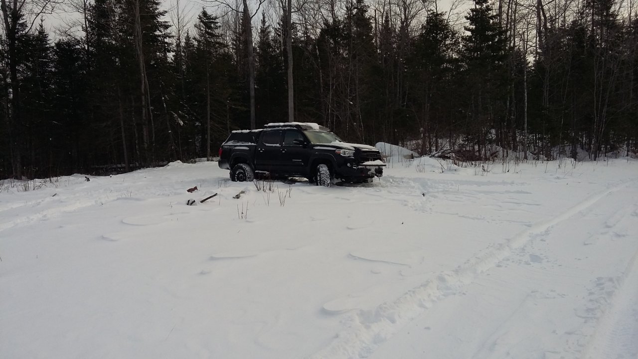 20181114_074757.jpg
