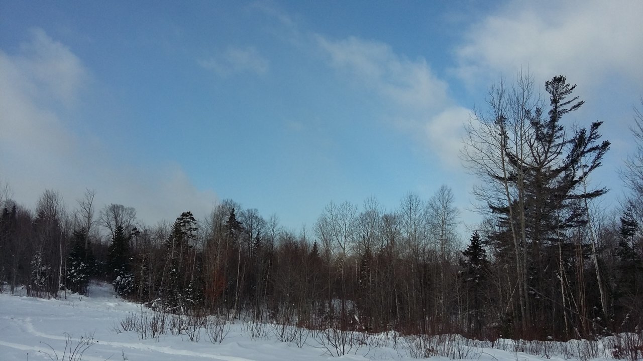 20181114_084819.jpg