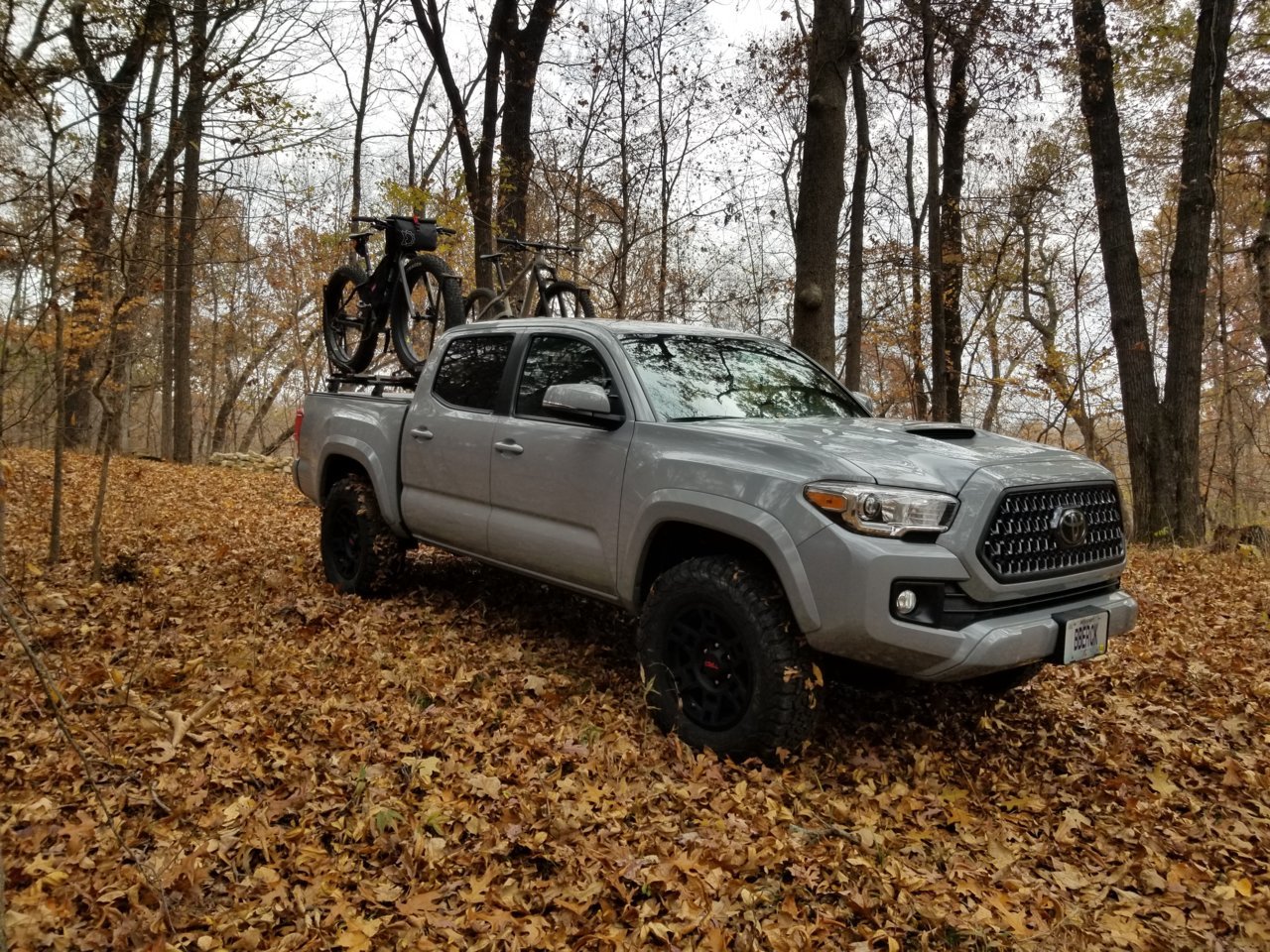 20181114_095049.jpg