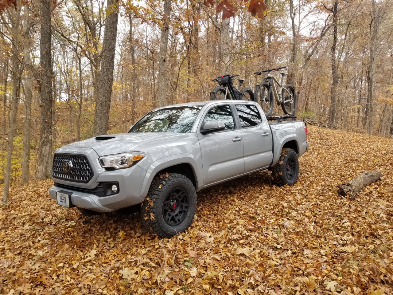 20181114_095117.jpg