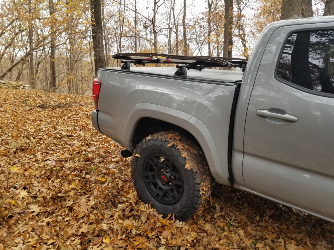 20181114_095449.jpg