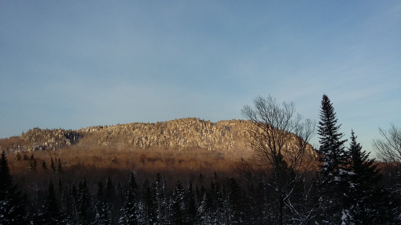 20181115_071250.jpg