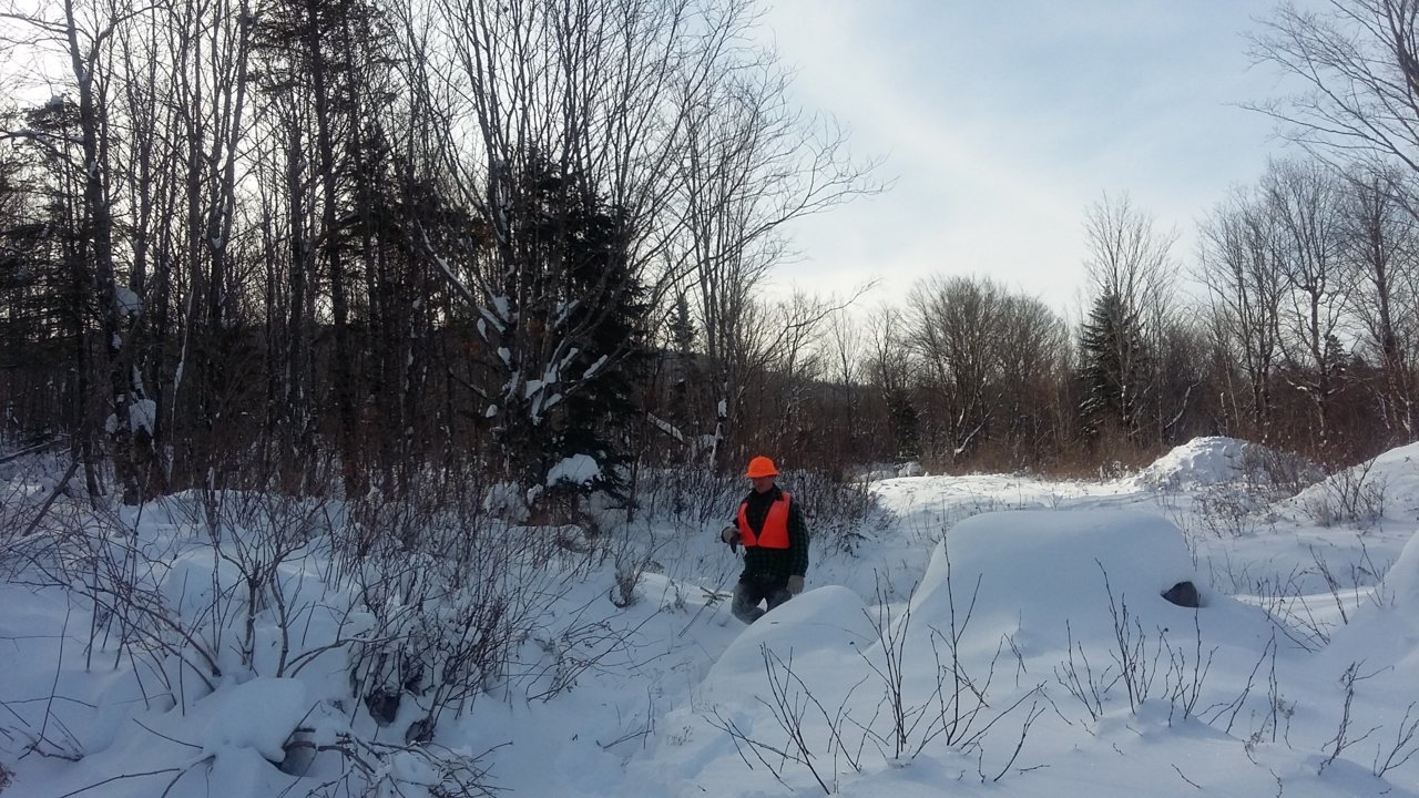 20181115_100121.jpg