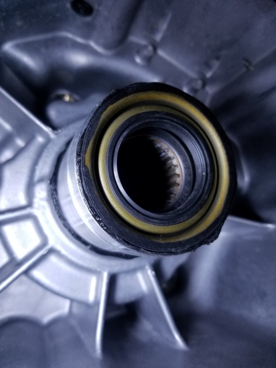 20181115_110841.jpg