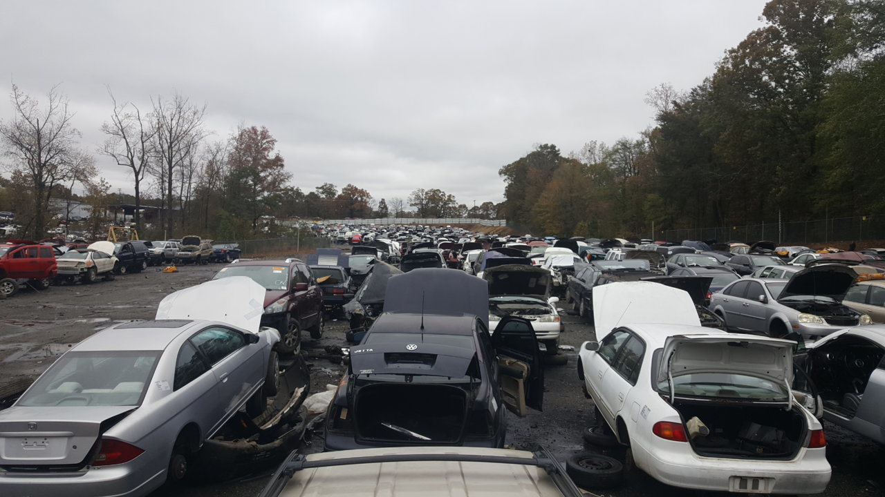 20181115_125853.jpg