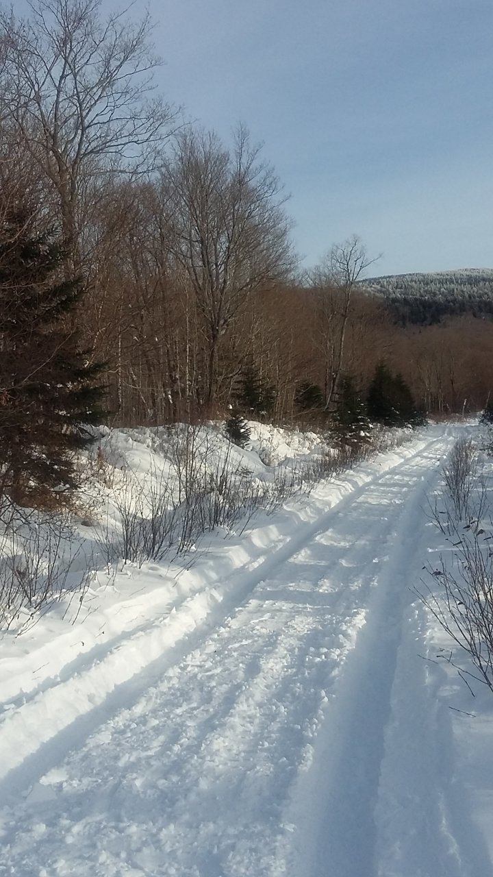 20181115_140157.jpg