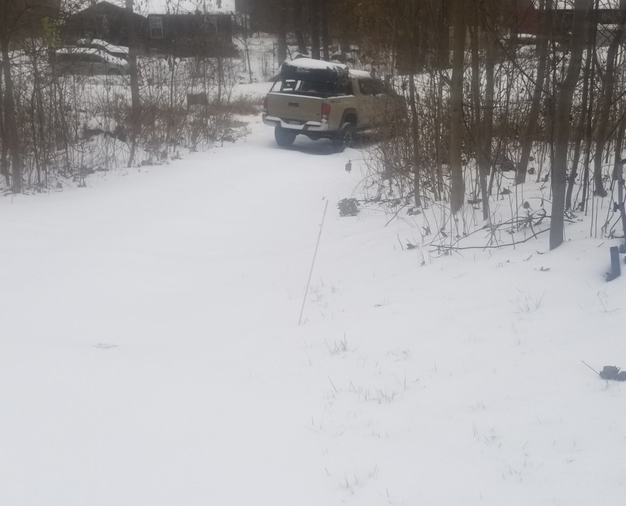20181115_144437.jpg