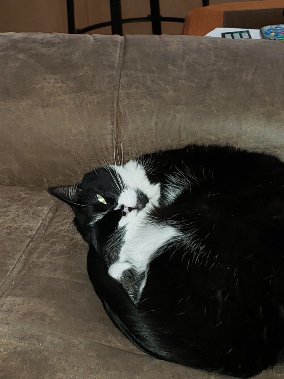 20181117_104748.jpg