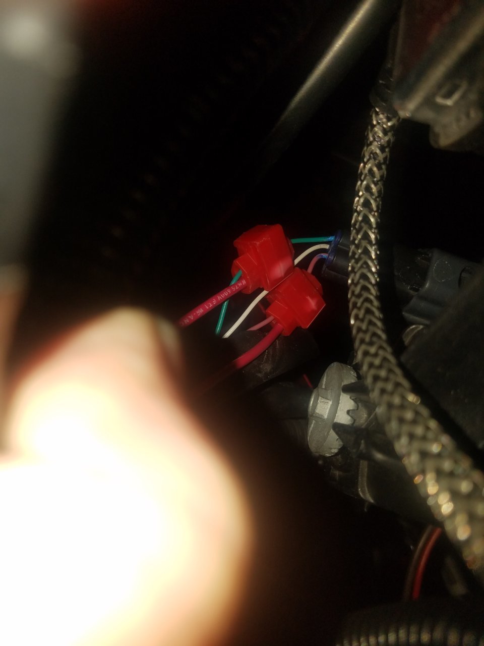 20181117_115436.jpg