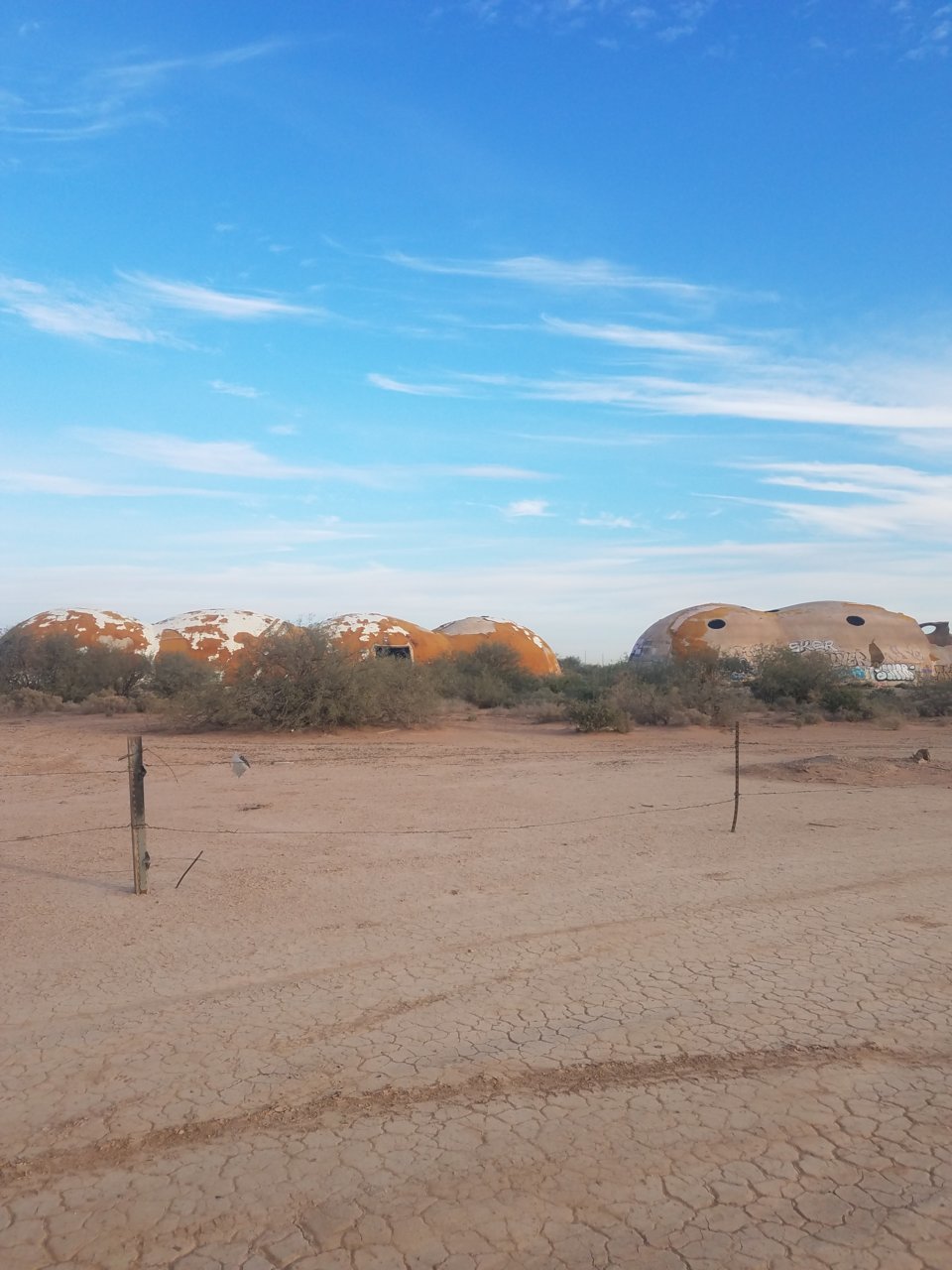 20181118_080021.jpg