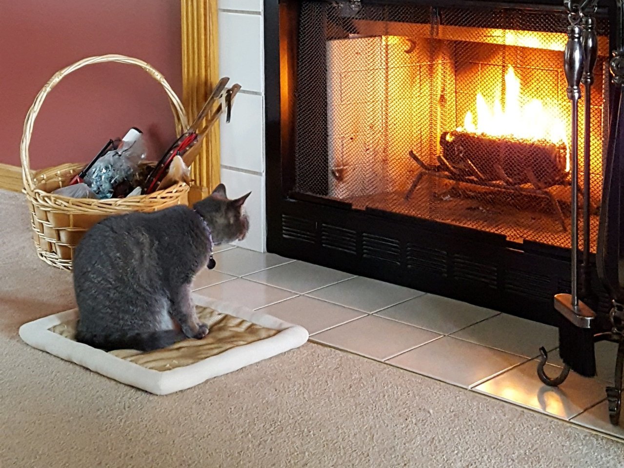 20181118_115547.jpg